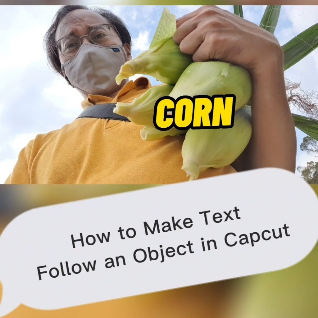 Capcut Edit Tutorial - Corn